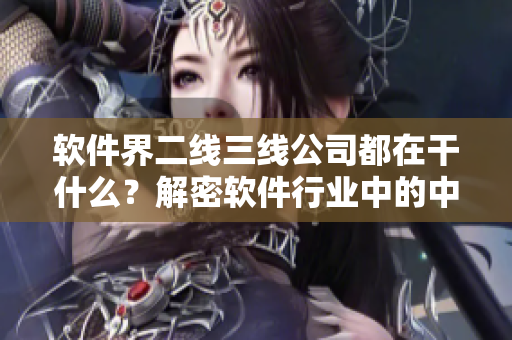 软件界二线三线公司都在干什么？解密软件行业中的中小企业经营策略
