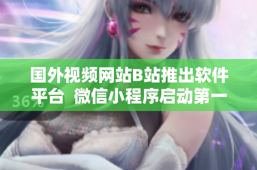 国外视频网站B站推出软件平台  微信小程序启动第一批应用编写教程