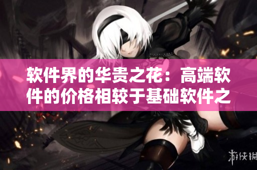 软件界的华贵之花：高端软件的价格相较于基础软件之差距有多大？