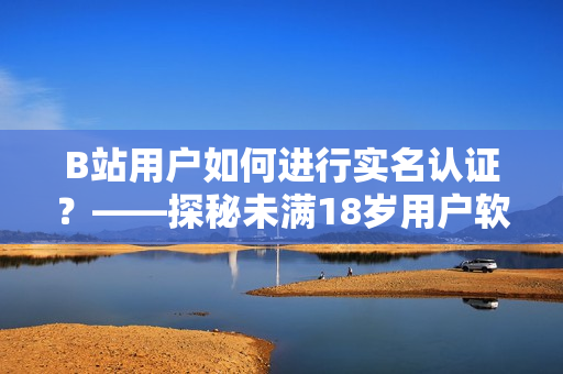 B站用户如何进行实名认证？——探秘未满18岁用户软件实名认证流程！