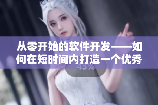 从零开始的软件开发——如何在短时间内打造一个优秀的软件项目？