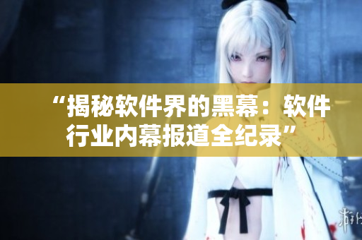 “揭秘软件界的黑幕：软件行业内幕报道全纪录”