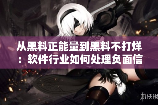 从黑料正能量到黑料不打烊：软件行业如何处理负面信息？