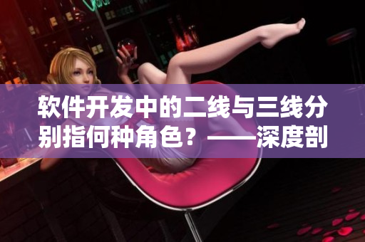 软件开发中的二线与三线分别指何种角色？——深度剖析
