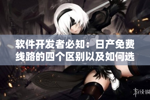软件开发者必知：日产免费线路的四个区别以及如何选择合适的区域