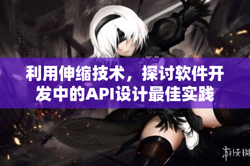利用伸缩技术，探讨软件开发中的API设计最佳实践