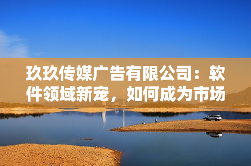 玖玖传媒广告有限公司：软件领域新宠，如何成为市场大赢家？