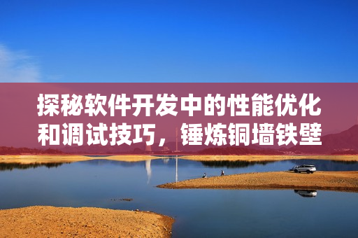探秘软件开发中的性能优化和调试技巧，锤炼铜墙铁壁般的代码实现！