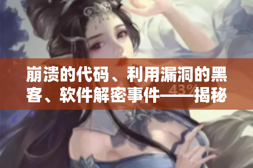 崩溃的代码、利用漏洞的黑客、软件解密事件——揭秘软件行业的黑暗面