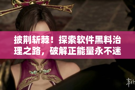 披荆斩棘！探索软件黑料治理之路，破解正能量永不迷路翡翠手镯的启示