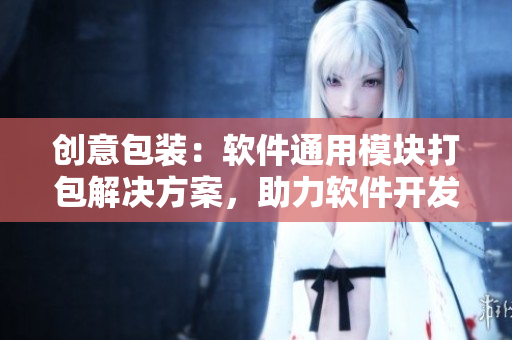 创意包装：软件通用模块打包解决方案，助力软件开发者快速交付