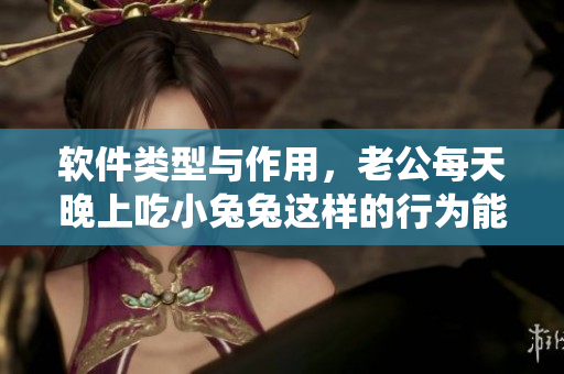 软件类型与作用，老公每天晚上吃小兔兔这样的行为能否对软件系统有益？