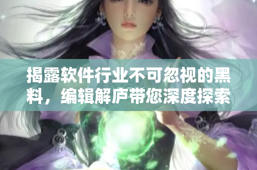 揭露软件行业不可忽视的黑料，编辑解庐带您深度探索