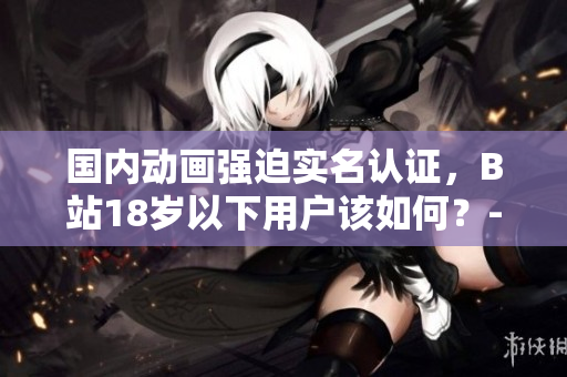 国内动画强迫实名认证，B站18岁以下用户该如何？-软件需知