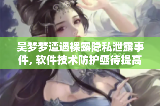 吴梦梦遭遇裸露隐私泄露事件, 软件技术防护亟待提高