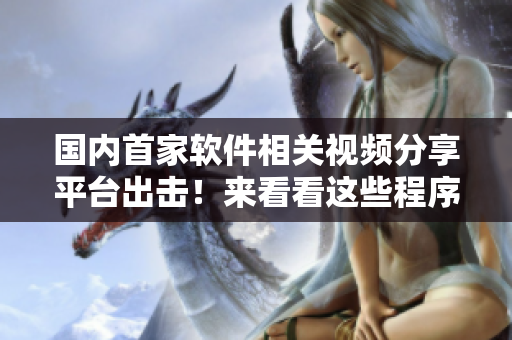 国内首家软件相关视频分享平台出击！来看看这些程序员的高质量干货吧！