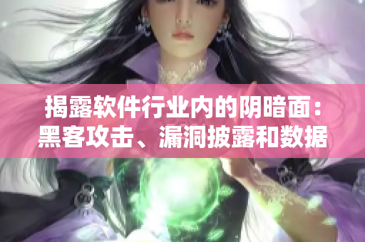 揭露软件行业内的阴暗面：黑客攻击、漏洞披露和数据泄露
