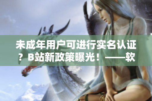未成年用户可进行实名认证？B站新政策曝光！——软件领域重磅资讯