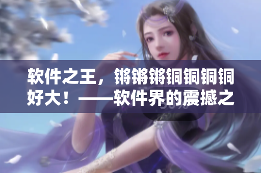 软件之王，锵锵锵铜铜铜铜好大！——软件界的震撼之作