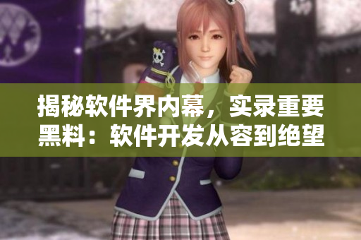 揭秘软件界内幕，实录重要黑料：软件开发从容到绝望