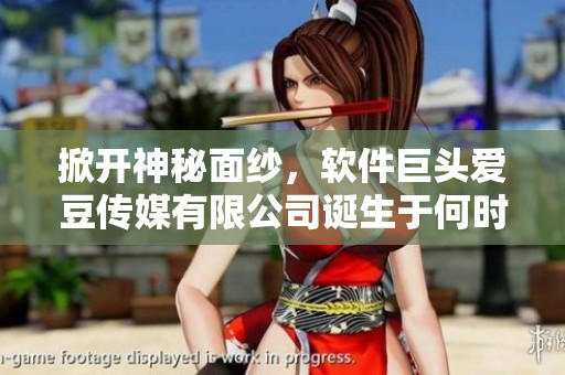 掀开神秘面纱，软件巨头爱豆传媒有限公司诞生于何时？