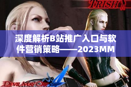深度解析B站推广入口与软件营销策略——2023MMM精读