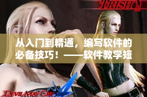 从入门到精通，编写软件的必备技巧！——软件教学短视频网页入口