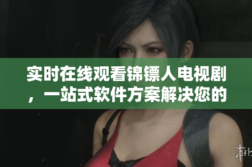 实时在线观看锦镖人电视剧，一站式软件方案解决您的娱乐需求