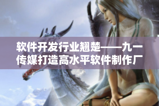 软件开发行业翘楚——九一传媒打造高水平软件制作厂