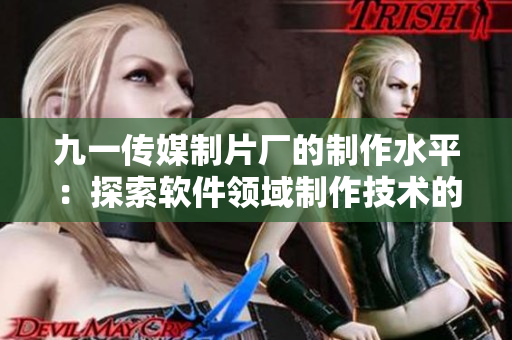 九一传媒制片厂的制作水平：探索软件领域制作技术的新境界