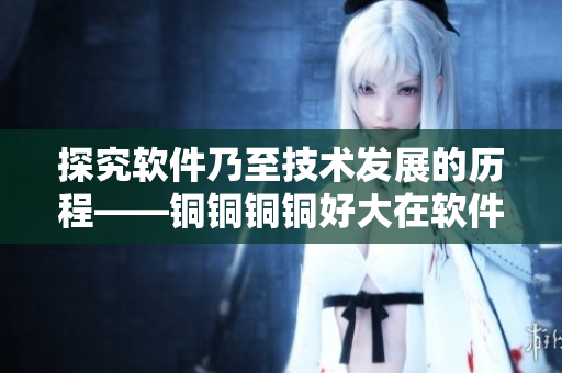 探究软件乃至技术发展的历程——铜铜铜铜好大在软件领域的启示