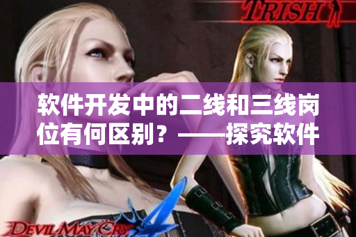 软件开发中的二线和三线岗位有何区别？——探究软件部门职位架构