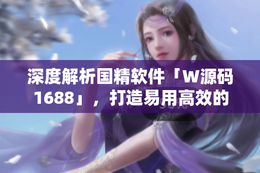 深度解析国精软件「W源码1688」，打造易用高效的软件开发工具！