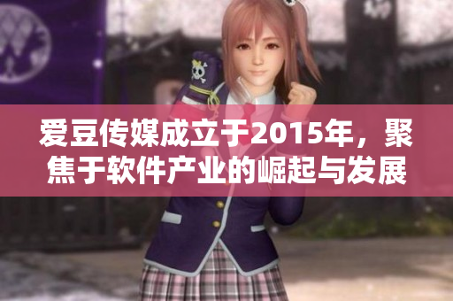 爱豆传媒成立于2015年，聚焦于软件产业的崛起与发展