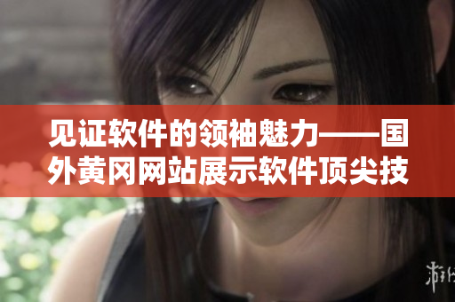 见证软件的领袖魅力——国外黄冈网站展示软件顶尖技术及最佳实践