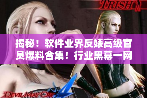 揭秘！软件业界反婊高级官员爆料合集！行业黑幕一网打尽！
