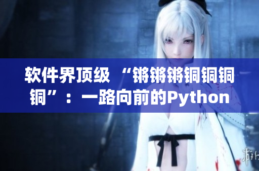 软件界顶级 “锵锵锵铜铜铜铜”：一路向前的Python之路