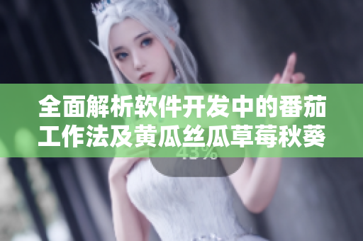 全面解析软件开发中的番茄工作法及黄瓜丝瓜草莓秋葵式管理技巧