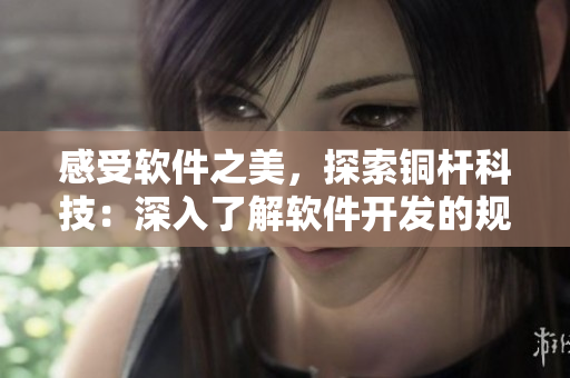 感受软件之美，探索铜杆科技：深入了解软件开发的规律与技能