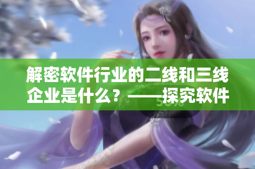 解密软件行业的二线和三线企业是什么？——探究软件行业市场格局