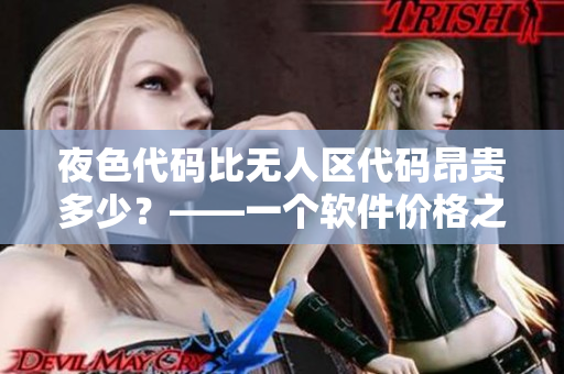 夜色代码比无人区代码昂贵多少？——一个软件价格之谜