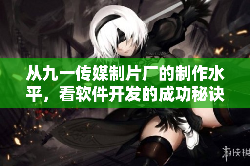 从九一传媒制片厂的制作水平，看软件开发的成功秘诀-独家揭秘