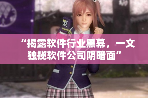 “揭露软件行业黑幕，一文独揽软件公司阴暗面”