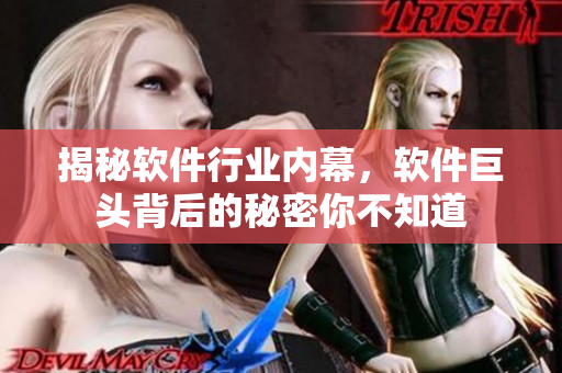揭秘软件行业内幕，软件巨头背后的秘密你不知道