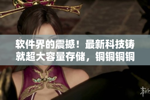 软件界的震撼！最新科技铸就超大容量存储，铜铜铜铜让软件跑的更稳定