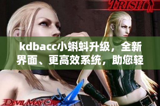 kdbacc小蝌蚪升级，全新界面、更高效系统，助您轻松管理财务
