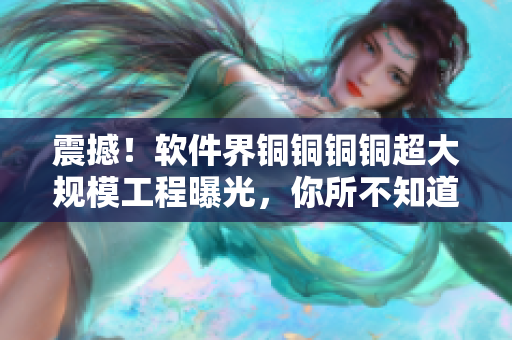 震撼！软件界铜铜铜铜超大规模工程曝光，你所不知道的技术细节！