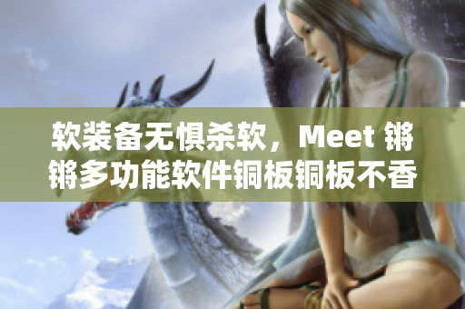 软装备无惧杀软，Meet 锵锵多功能软件铜板铜板不香吗！