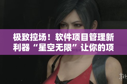 极致控场！软件项目管理新利器“星空无限”让你的项目无限升级