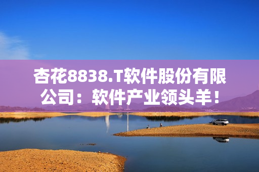 杏花8838.T软件股份有限公司：软件产业领头羊！